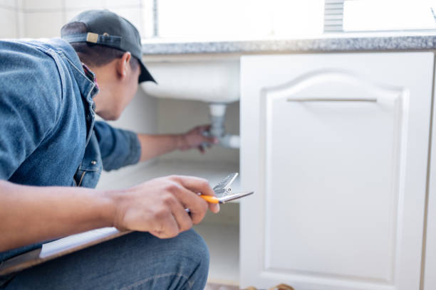 Best Plumbing Services Near Me  in Round Lake Beach, IL